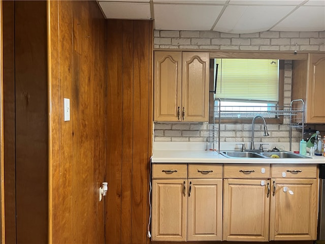 kitchen with a drop ceiling, sink, and backsplash