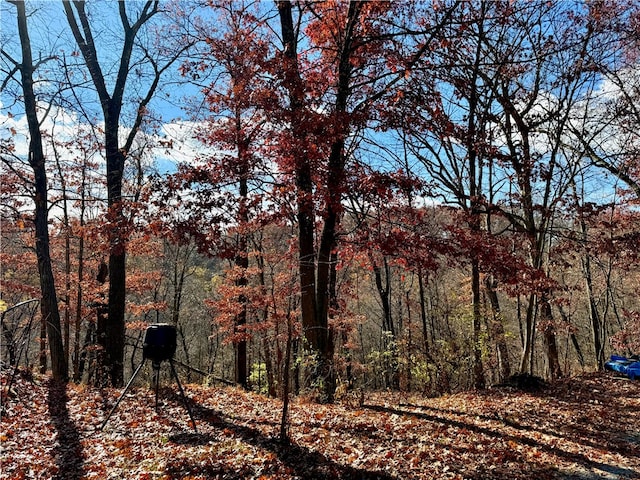 view of nature