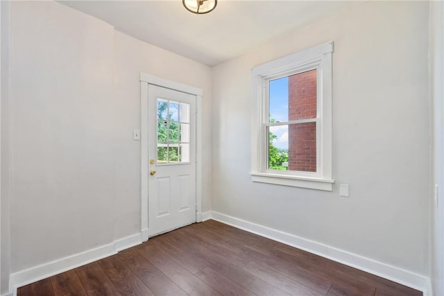 entrance foyer with a healthy amount of sunlight and dark wood-type flooring