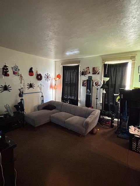 living room featuring carpet floors and a textured ceiling