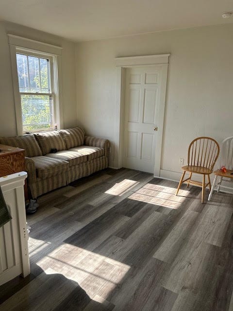 living area featuring dark wood-type flooring