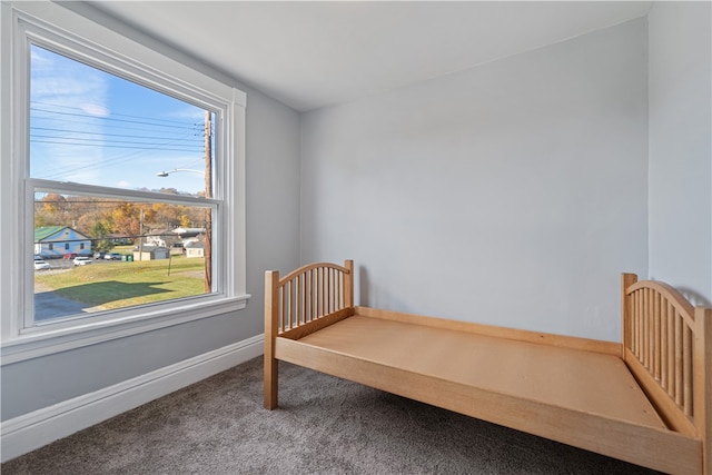 carpeted bedroom with multiple windows