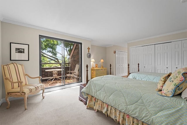 bedroom with access to exterior, carpet, multiple closets, and crown molding