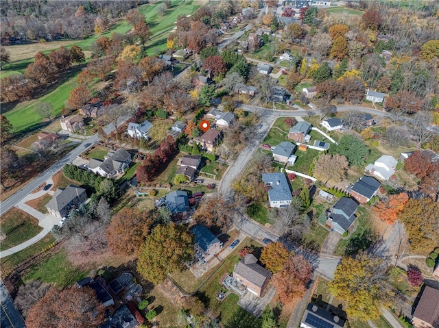 bird's eye view