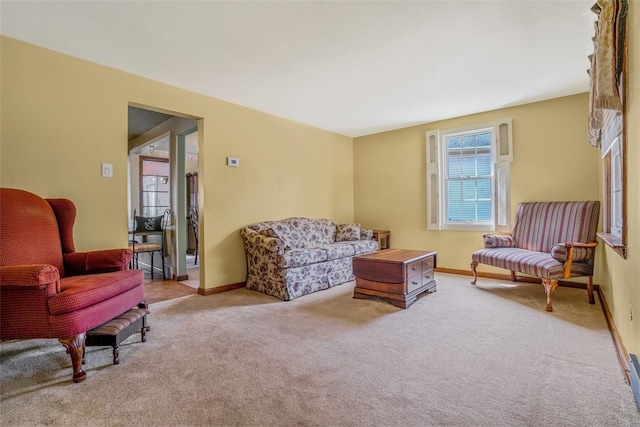 sitting room with carpet