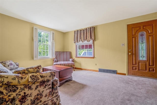 sitting room with carpet floors