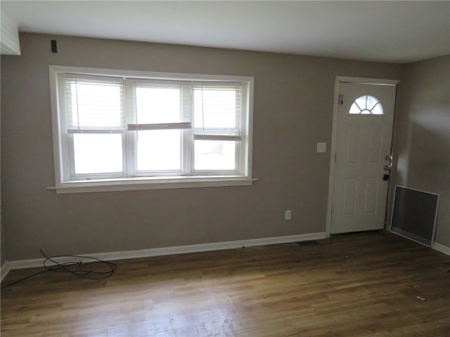 entryway featuring a wealth of natural light and dark wood-type flooring