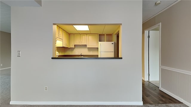 kitchen featuring dark hardwood / wood-style flooring, sink, and white fridge