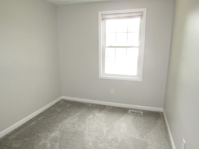 carpeted empty room featuring a healthy amount of sunlight