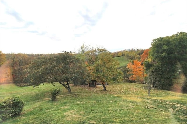 219 Ball Hill Rd, German Twp, PA 15410 - view of green lawn