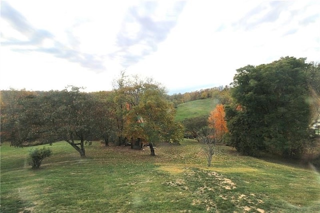 view of yard with a rural view