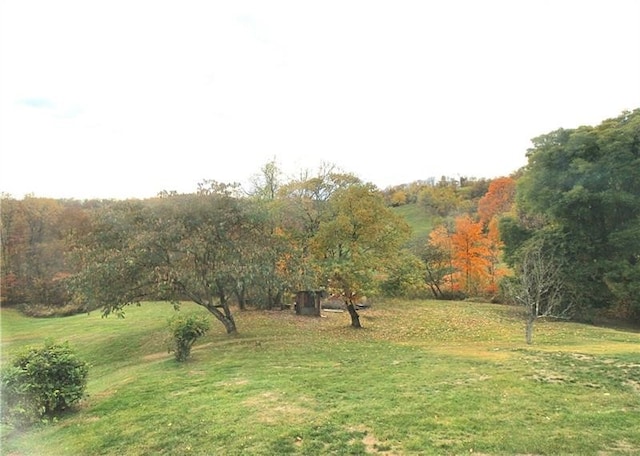 219 Ball Hill Rd, German Twp, PA 15410 - view of green lawn