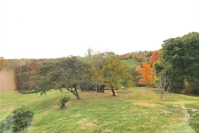 view of yard with a rural view