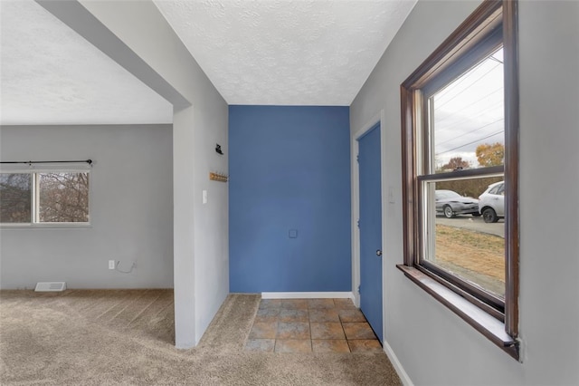 entryway with a wealth of natural light, a textured ceiling, and carpet floors