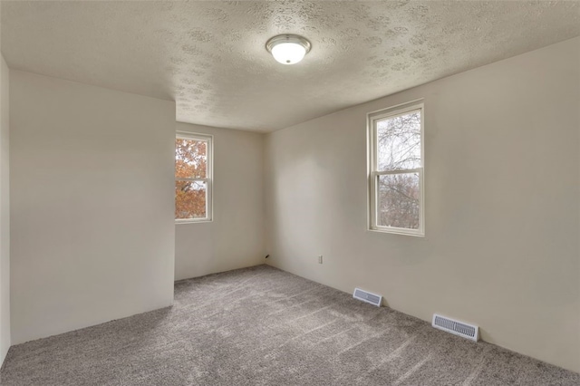 spare room featuring carpet, a textured ceiling, and plenty of natural light