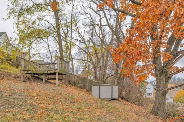 view of yard featuring a storage unit