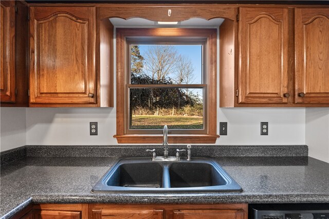 kitchen featuring stainless steel dishwasher and sink