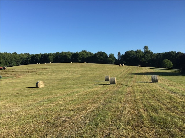 532 W Sunbury Rd, Center Twp But, PA 16001 - view of yard with a rural view