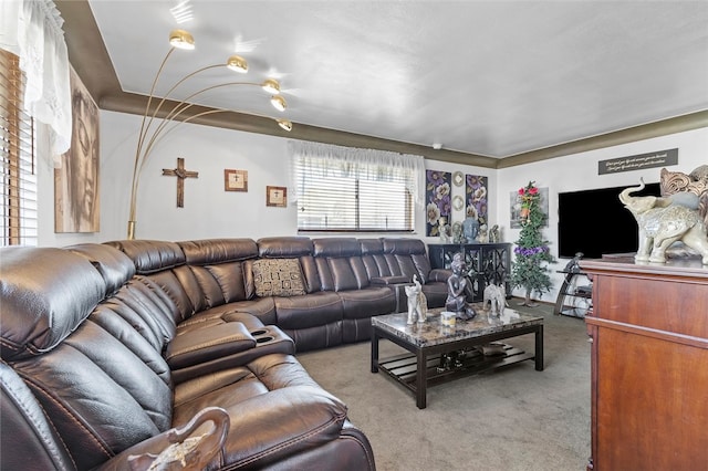 living room featuring light carpet