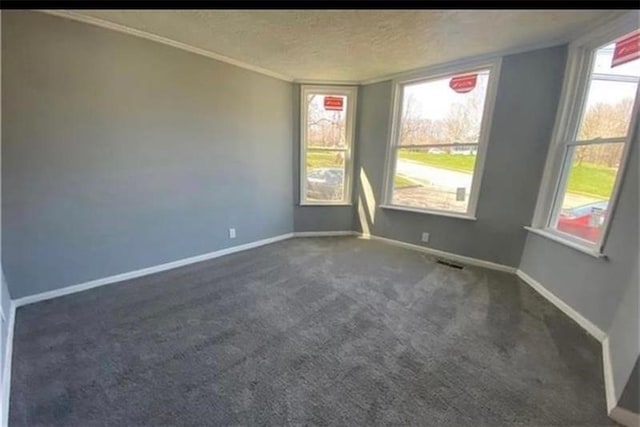 carpeted spare room featuring a textured ceiling and ornamental molding