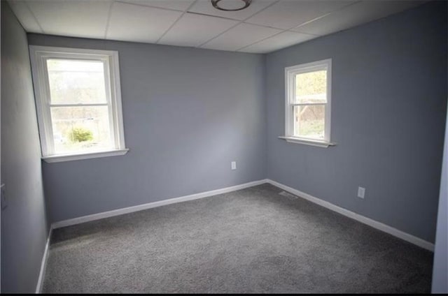 spare room with carpet, a paneled ceiling, and a healthy amount of sunlight