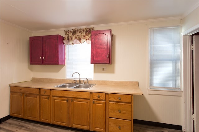 kitchen featuring hardwood / wood-style flooring, sink, and crown molding