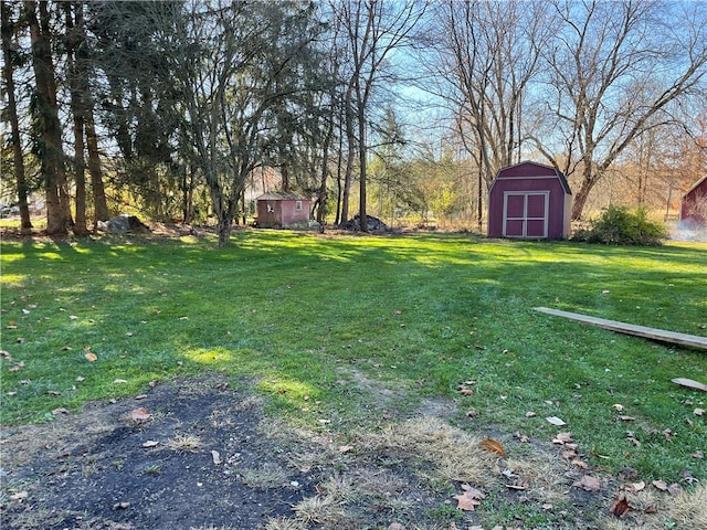 view of yard with a storage unit