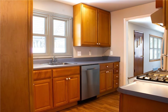 kitchen with dishwasher, light hardwood / wood-style floors, and sink