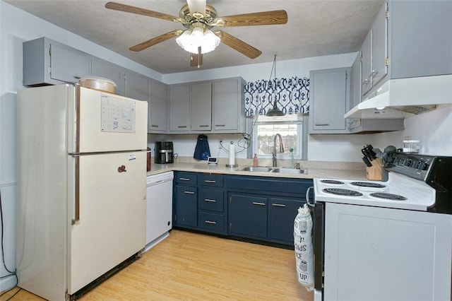 kitchen featuring ceiling fan, sink, light hardwood / wood-style flooring, a textured ceiling, and white appliances