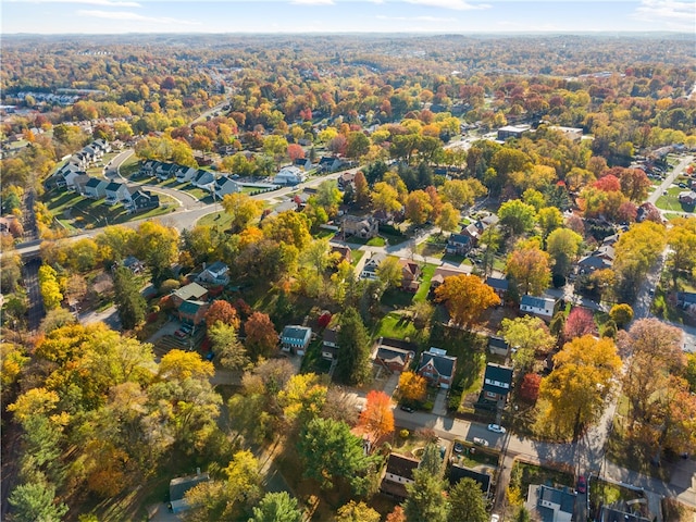 drone / aerial view