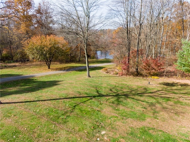 view of yard featuring a water view