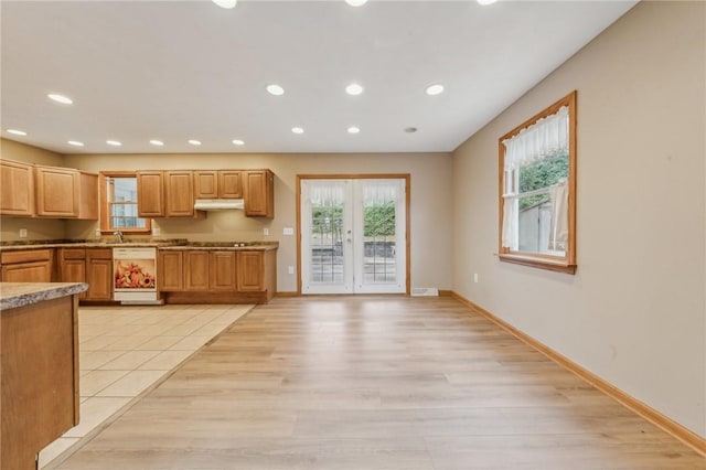 kitchen with dishwasher and light wood-type flooring