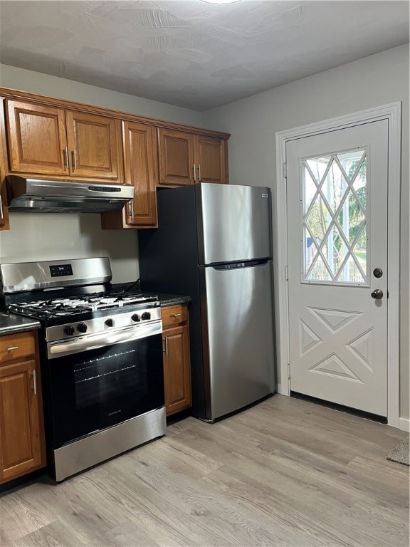 kitchen featuring light hardwood / wood-style flooring and appliances with stainless steel finishes