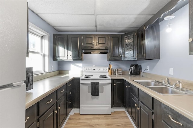 kitchen featuring white appliances, sink, and light hardwood / wood-style floors