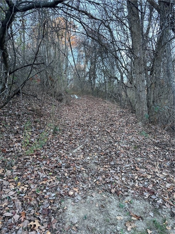 view of local wilderness