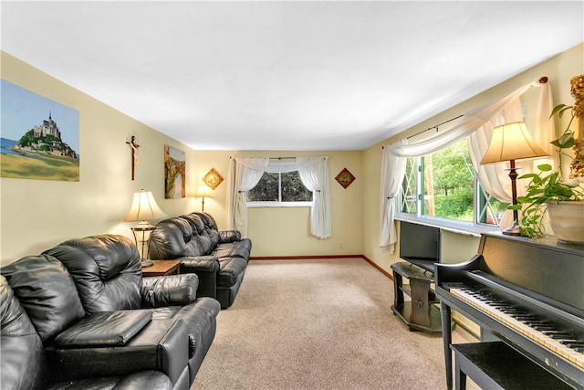 living room featuring light colored carpet