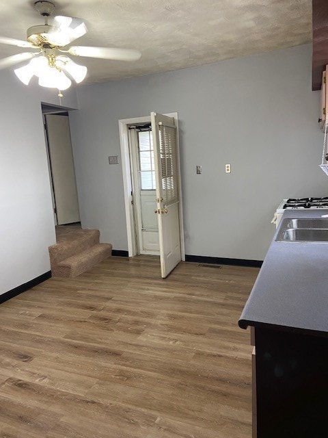 kitchen featuring hardwood / wood-style floors, a textured ceiling, ceiling fan, and sink