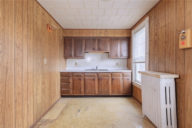 kitchen featuring light carpet, wooden walls, and sink