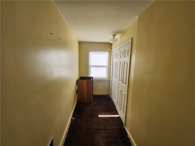 8298 Ohio River Blvd, Emsworth, PA 15202 - hallway with carpet floors and baseboards