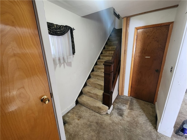 stairs featuring ornamental molding and carpet floors