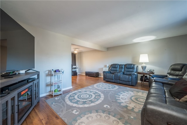 living room featuring wood-type flooring