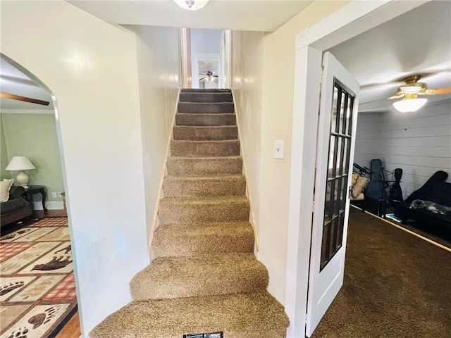 stairs featuring carpet and ceiling fan