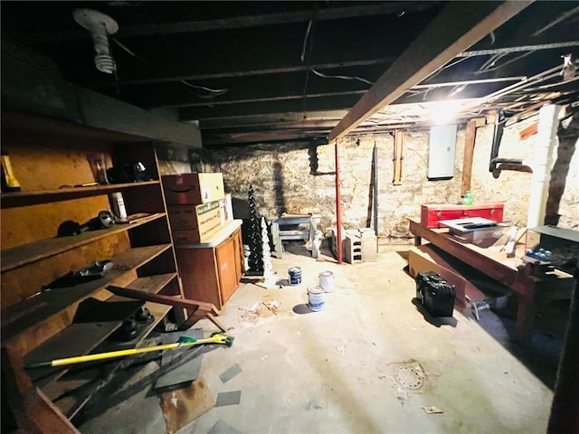 basement with electric panel