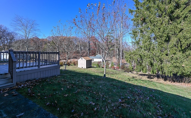 view of yard with a storage unit and a deck