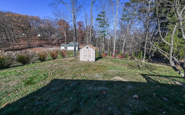 view of yard featuring a storage shed