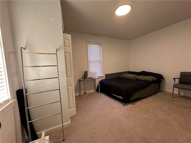 bedroom featuring multiple windows and carpet floors