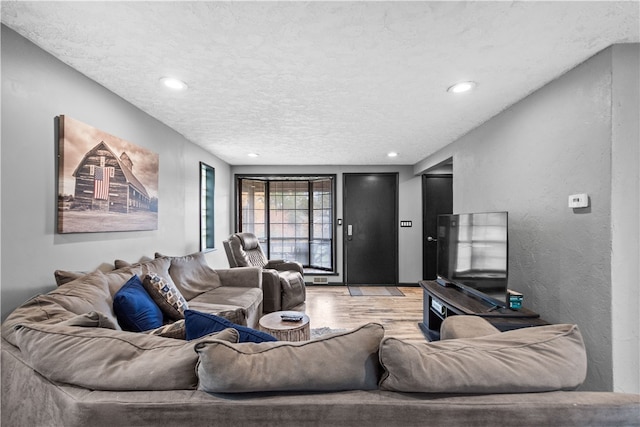 living room featuring a textured ceiling and hardwood / wood-style flooring