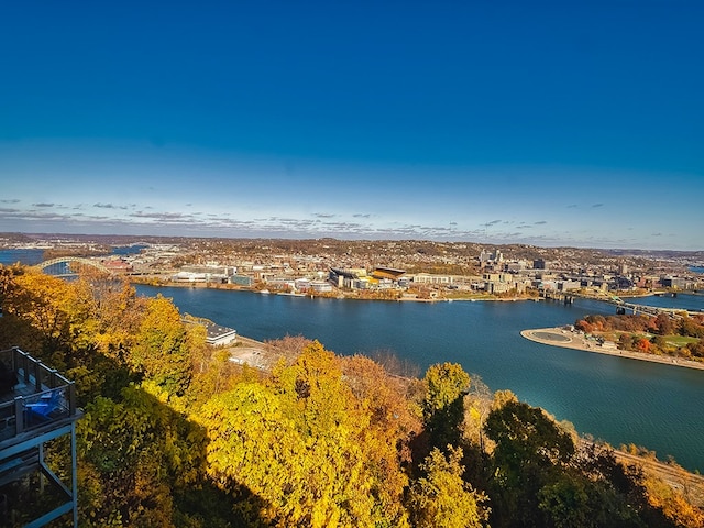 property view of water