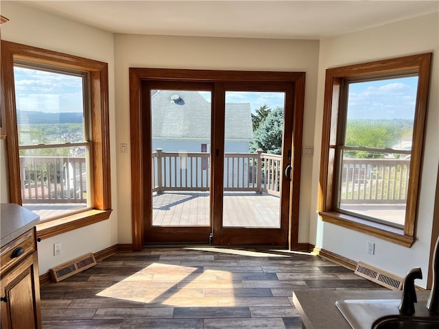 doorway with dark hardwood / wood-style floors, plenty of natural light, and sink