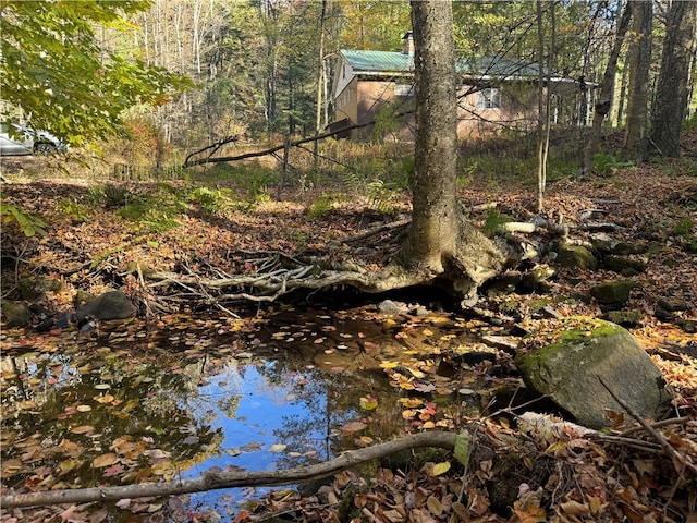 view of nature with a water view